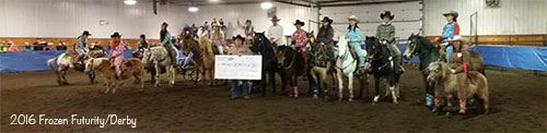 2016 Frozen Futurity & Derby
